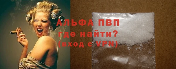 шишки Белоозёрский