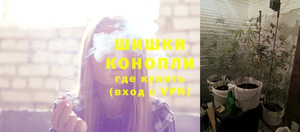 шишки Белоозёрский