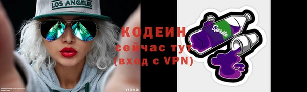 шишки Белоозёрский