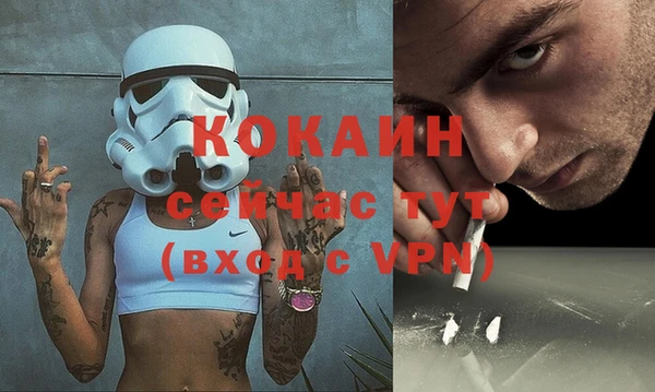 шишки Белоозёрский