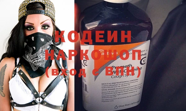 шишки Белоозёрский