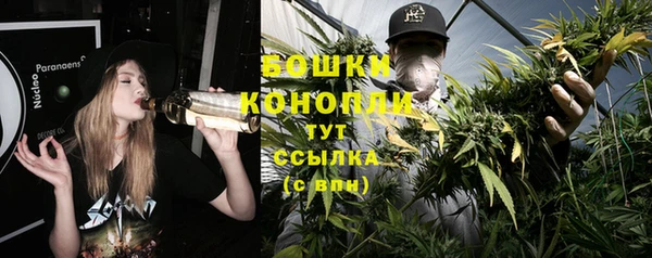 прущая мука Белокуриха