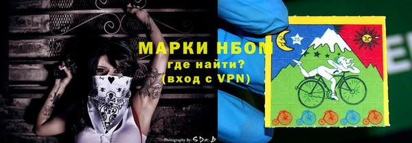 шишки Белоозёрский