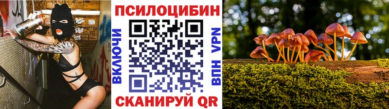 Галлюциногенные грибы MAGIC MUSHROOMS  где продают наркотики  Ахтырский 